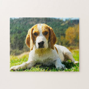 Puzzle Perros Sabuesos Beagle.