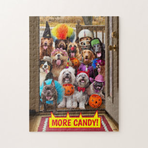 Puzzle Perros trincherados o tratados