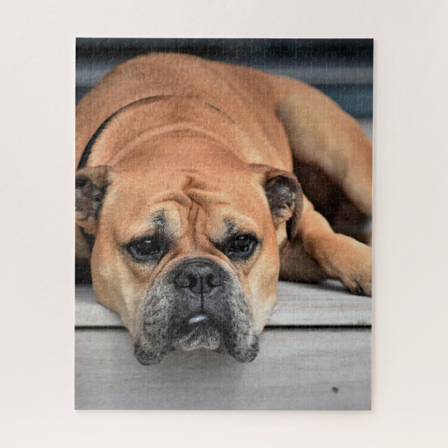 Puzzle Personalizable de Bulldog continental (Vertical)