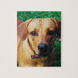 Puzzle Personalizado fotográfico personalizado Perro Romp