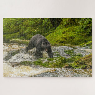 Puzzle Pesca de oso negro Qua Creek British Columbia