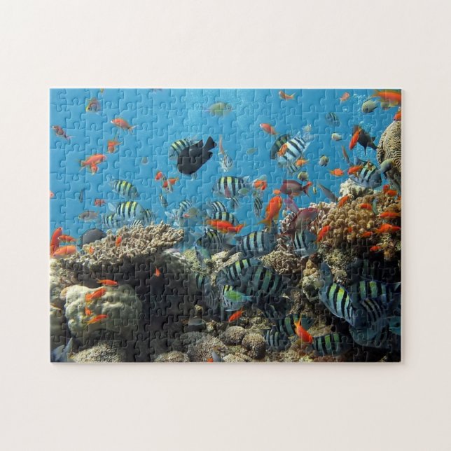 Puzzle Pescado abundante y coral (Horizontal)