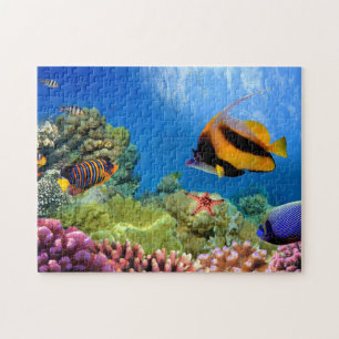 Puzzle Pescado de mariposa y pez estrella bajo el mar Rom