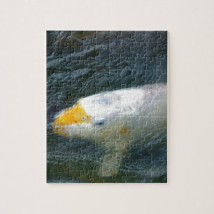 Puzzle Pescado de oro en el lago