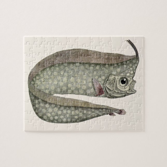 Puzzle Pescado de pez de oruga reposo, vida acuática mari (Horizontal)
