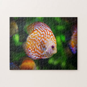 Puzzle Pescado discípulo