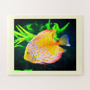 Puzzle Pescado discus