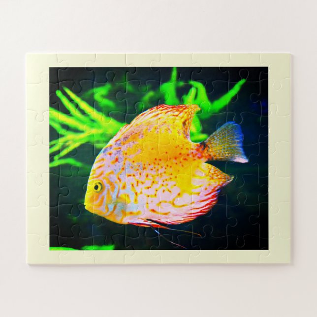 Puzzle Pescado discus (Horizontal)
