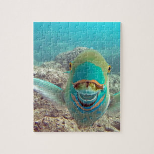 Puzzle Pescado loro hawaiano - Uhu