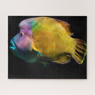 Puzzle Pescado tropical