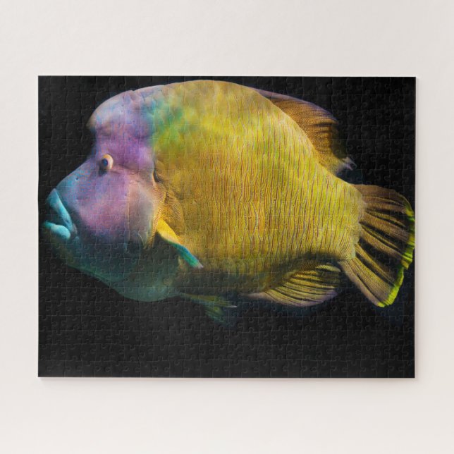 Puzzle Pescado tropical (Horizontal)