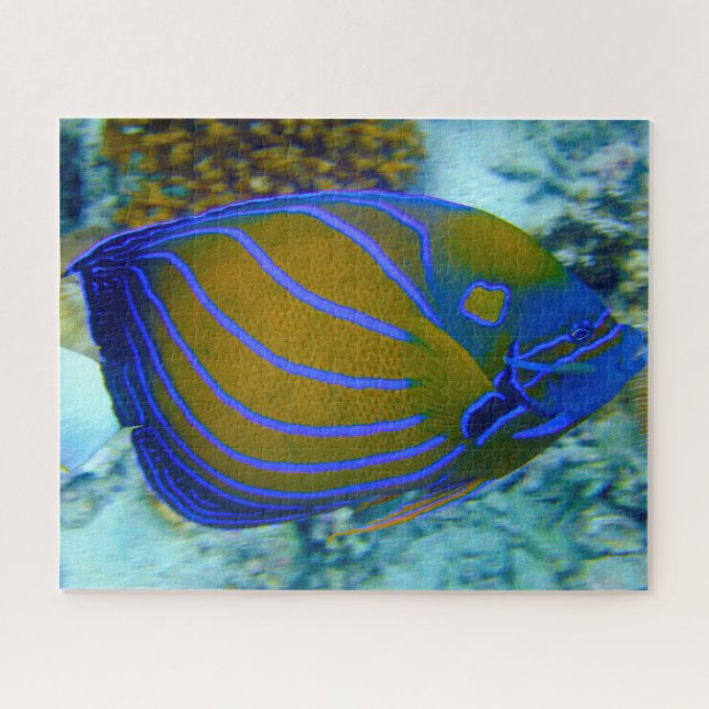 Puzzle Pescado tropical (Horizontal)