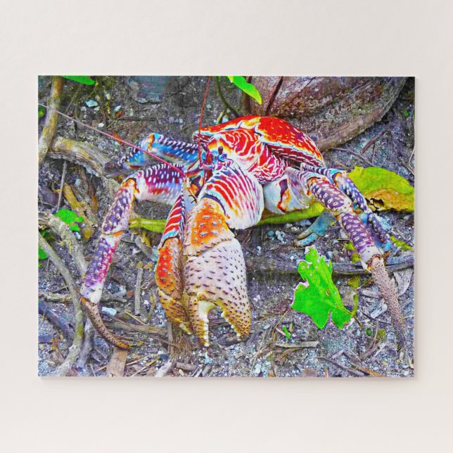 Puzzle Pescado tropical (Horizontal)