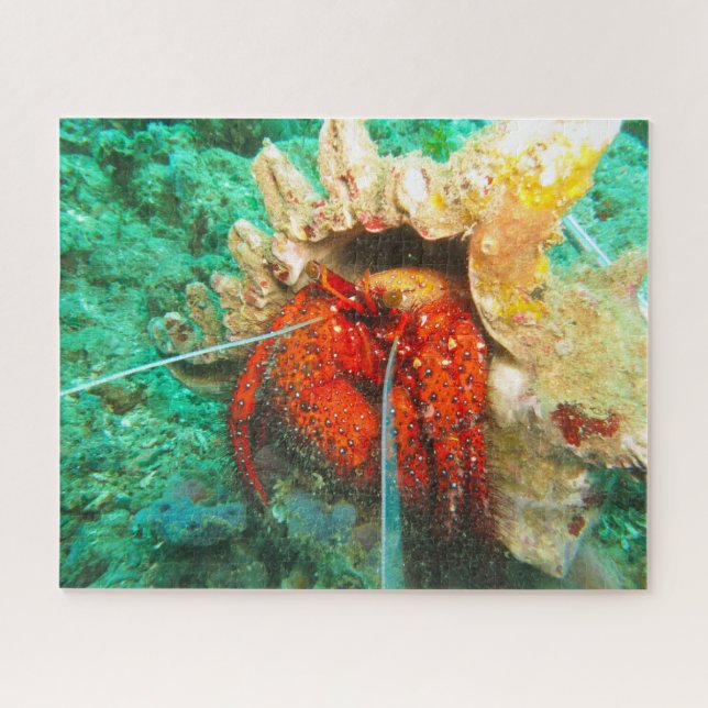 Puzzle Pescado tropical (Horizontal)