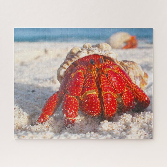 Puzzle Pescado tropical (Horizontal)