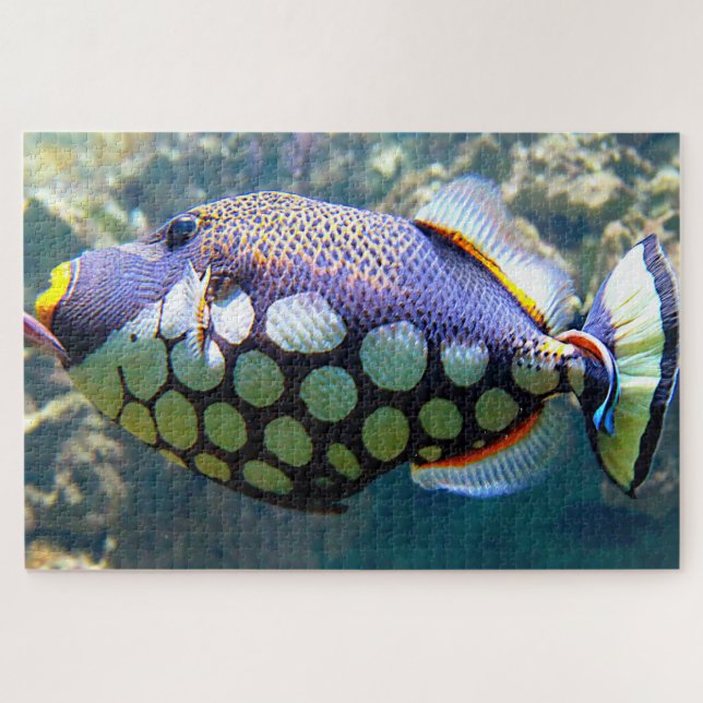 Puzzle Pescado tropical (Horizontal)