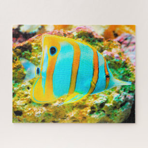 Puzzle Pescado tropical