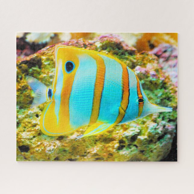 Puzzle Pescado tropical (Horizontal)