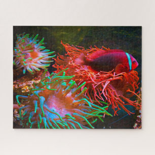 Puzzle Pescado tropical