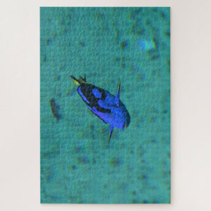 Puzzle Pescado tropical.