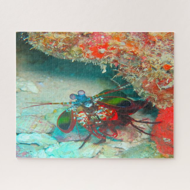 Puzzle Pescado tropical (Horizontal)