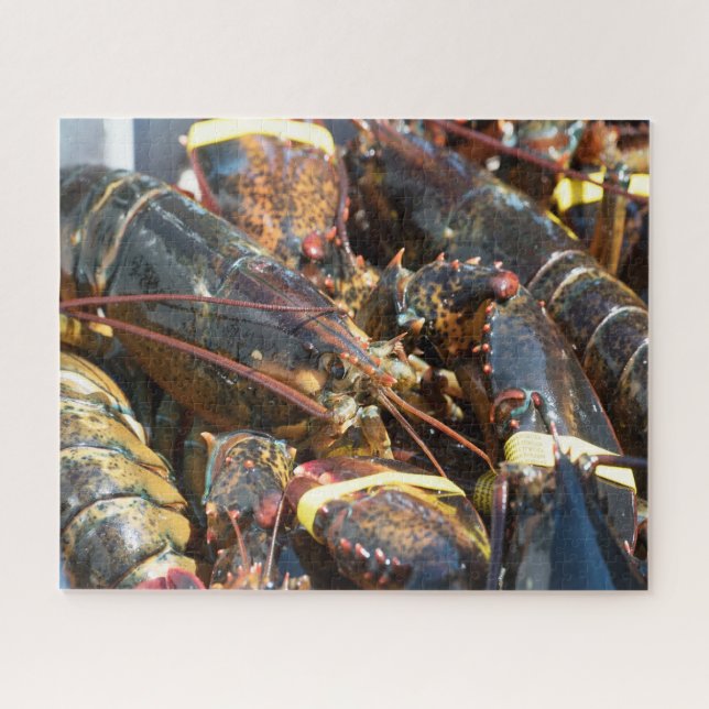 Puzzle Pescado tropical (Horizontal)