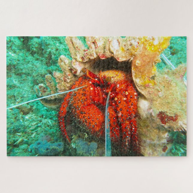 Puzzle Pescado tropical (Horizontal)