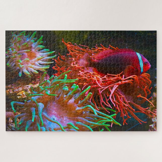 Puzzle Pescado tropical (Horizontal)