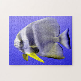 Puzzle Pescado tropical