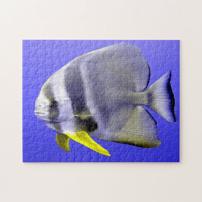 Puzzle Pescado tropical (Horizontal)