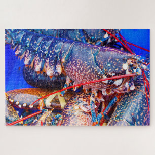 Puzzle Pescado tropical