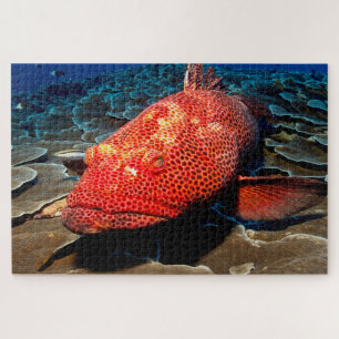Puzzle Pescado tropical