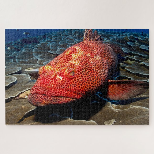 Puzzle Pescado tropical (Horizontal)