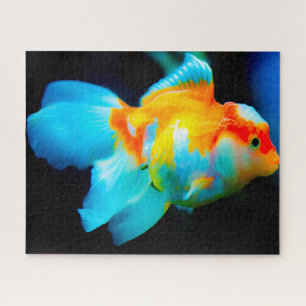 Puzzle Pescado tropical