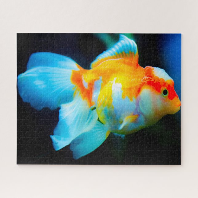 Puzzle Pescado tropical (Horizontal)