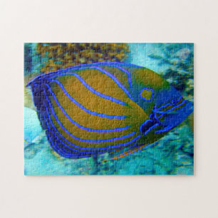 Puzzle Pescado tropical