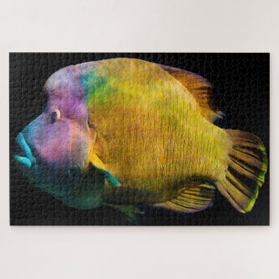 Puzzle Pescado tropical