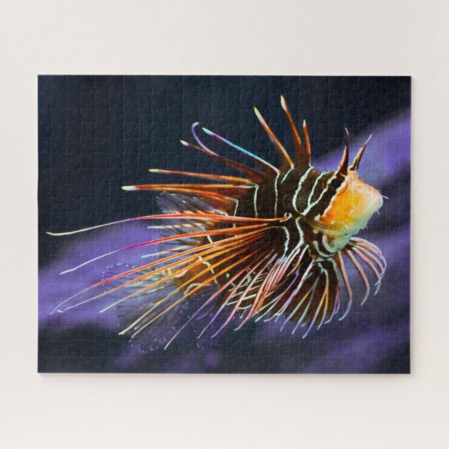 Puzzle Pescado tropical (Horizontal)