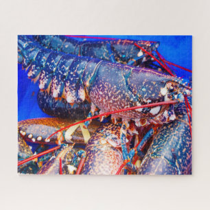 Puzzle Pescado tropical