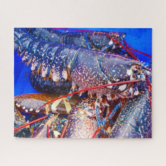 Puzzle Pescado tropical (Horizontal)