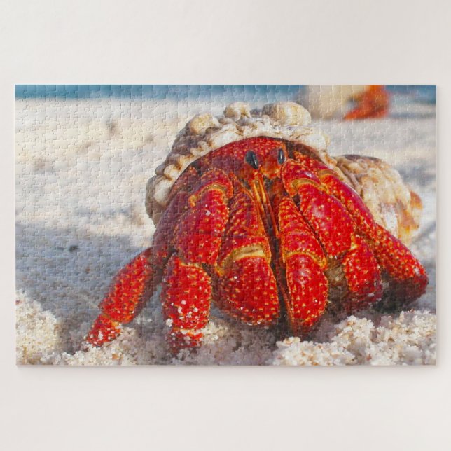 Puzzle Pescado tropical (Horizontal)
