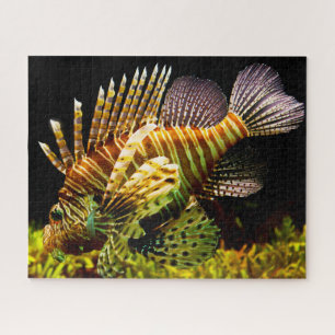Puzzle Pescado tropical