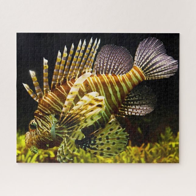 Puzzle Pescado tropical (Horizontal)