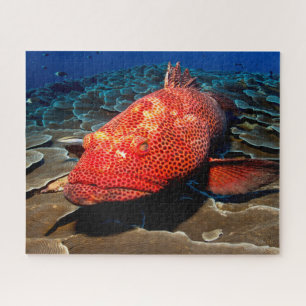 Puzzle Pescado tropical