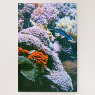 Puzzle Pescado tropical en un acuario.