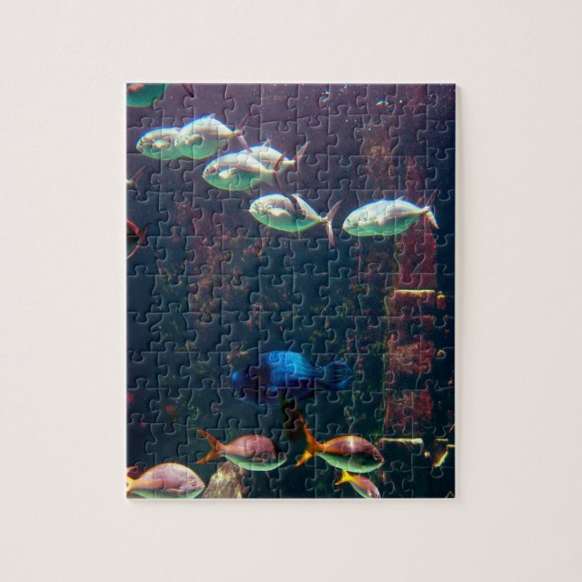 Puzzle Pescados en acuario (Vertical)