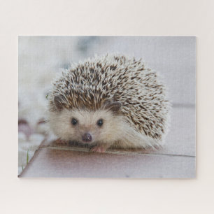 Puzzle Pet Hedgehog