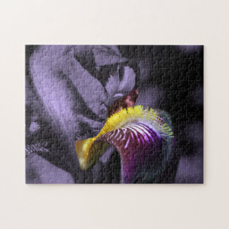 Puzzle Petalo de flor de iris con barba morada