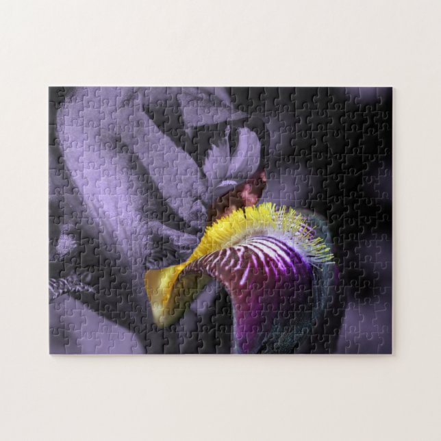 Puzzle Petalo de flor de iris con barba morada (Horizontal)