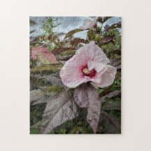 "Pétalos Delicados" Flor de Hibiscus